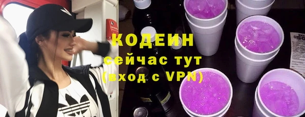 прущая мука Каменка