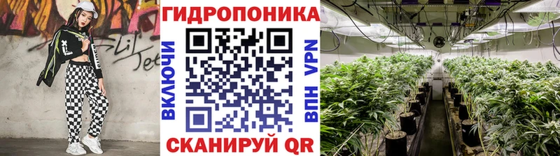 как найти закладки  Ростов  Каннабис планчик 